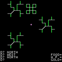 Image from Akalabeth, a computer RPG by Lord British 1979